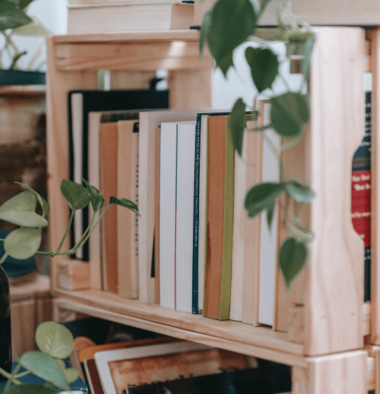 Bookshelf with catholic books